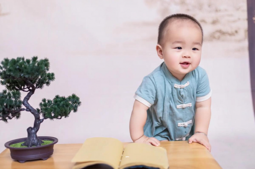 咸宁可爱的企鹅宝宝